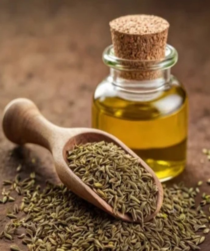 Ajwain Ark